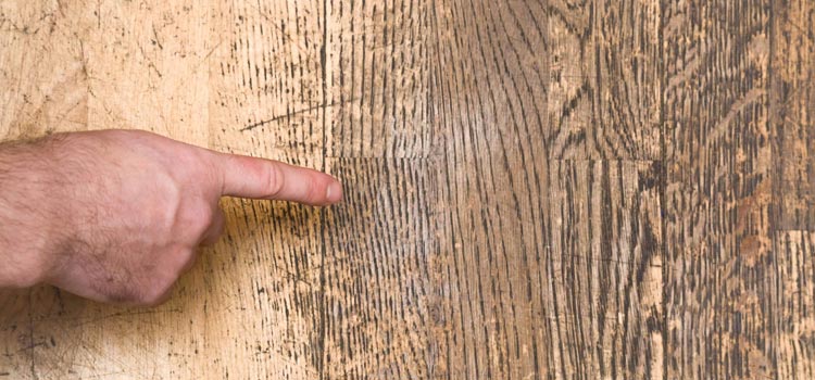 Wood Door Scratch Repair in El Segundo